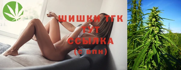 spice Алексин