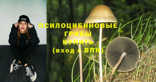 дурь Аркадак
