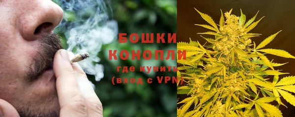 дурь Аркадак
