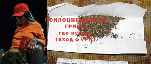 МДПВ Алексеевка